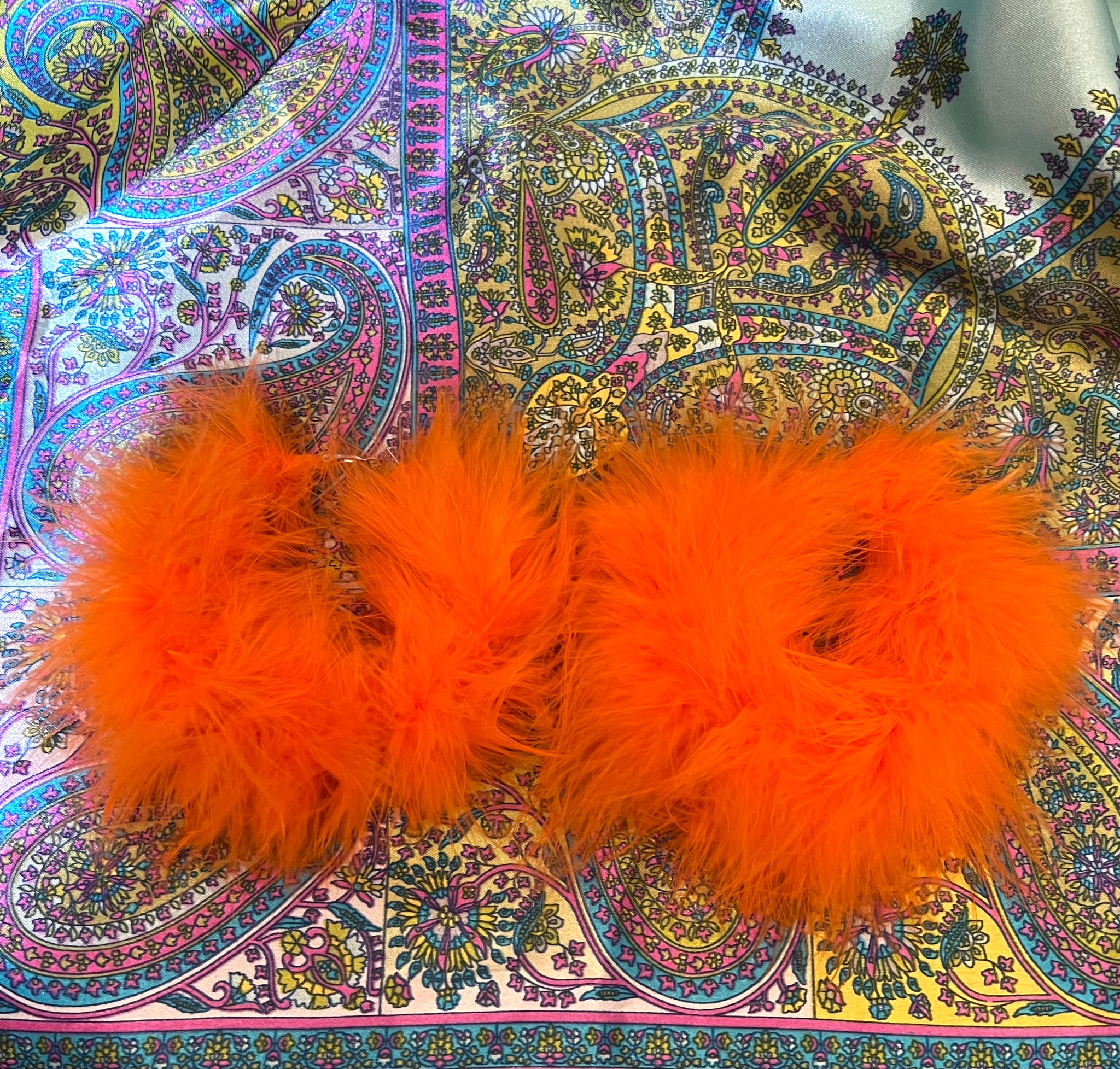 Orange Feathers
