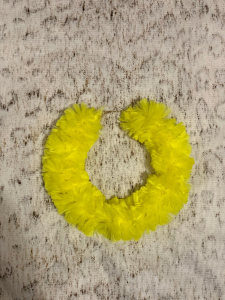 Jumbo & Feathery